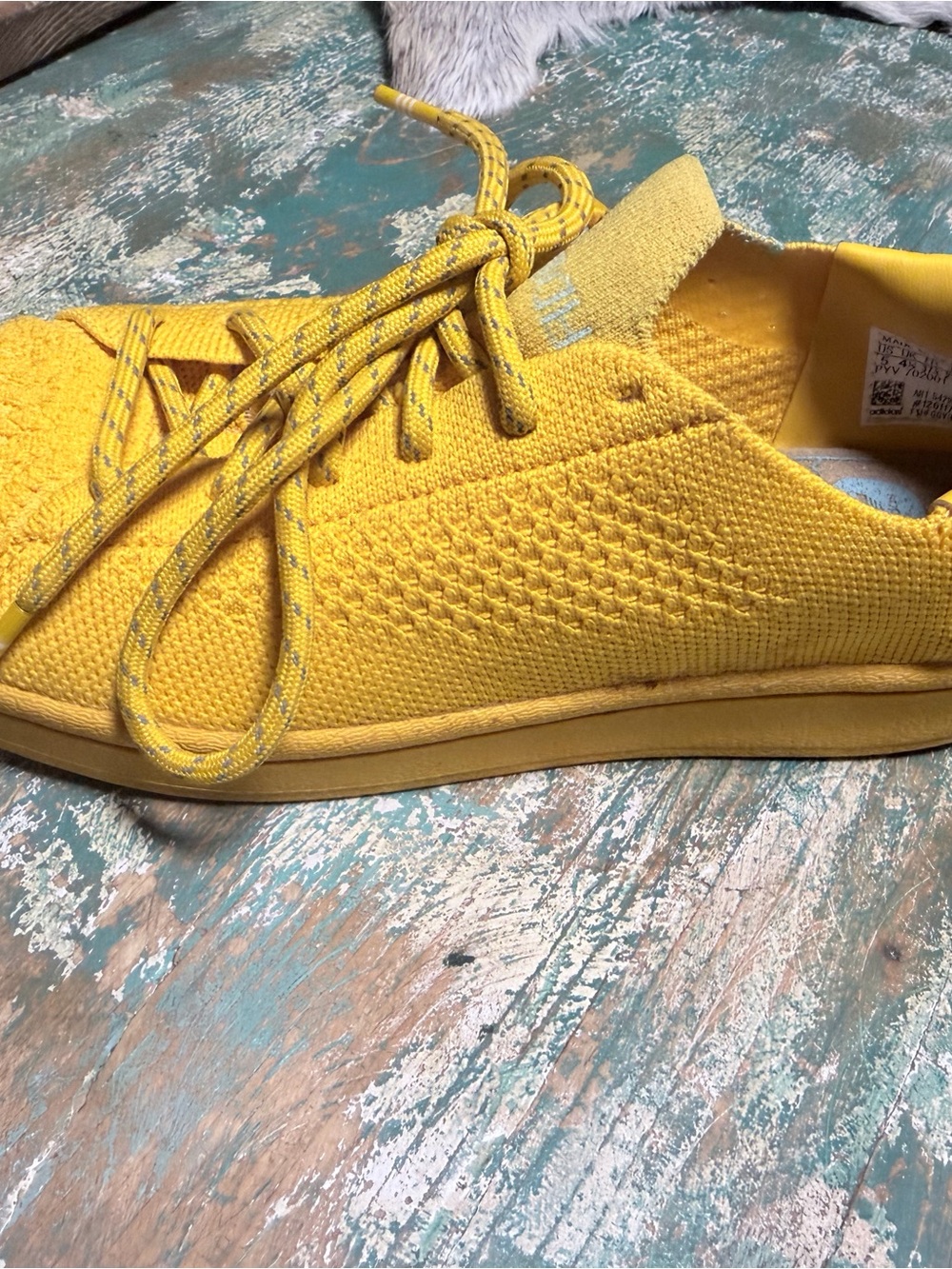 Human Race Adidas 2020